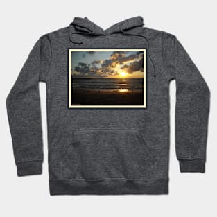 Seagulls with Lake Erie Sunset Hoodie